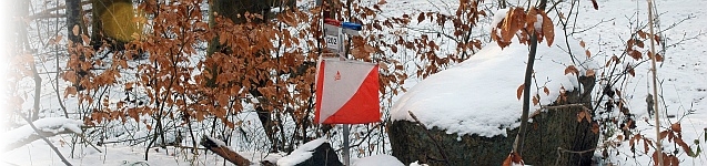 Sne-post